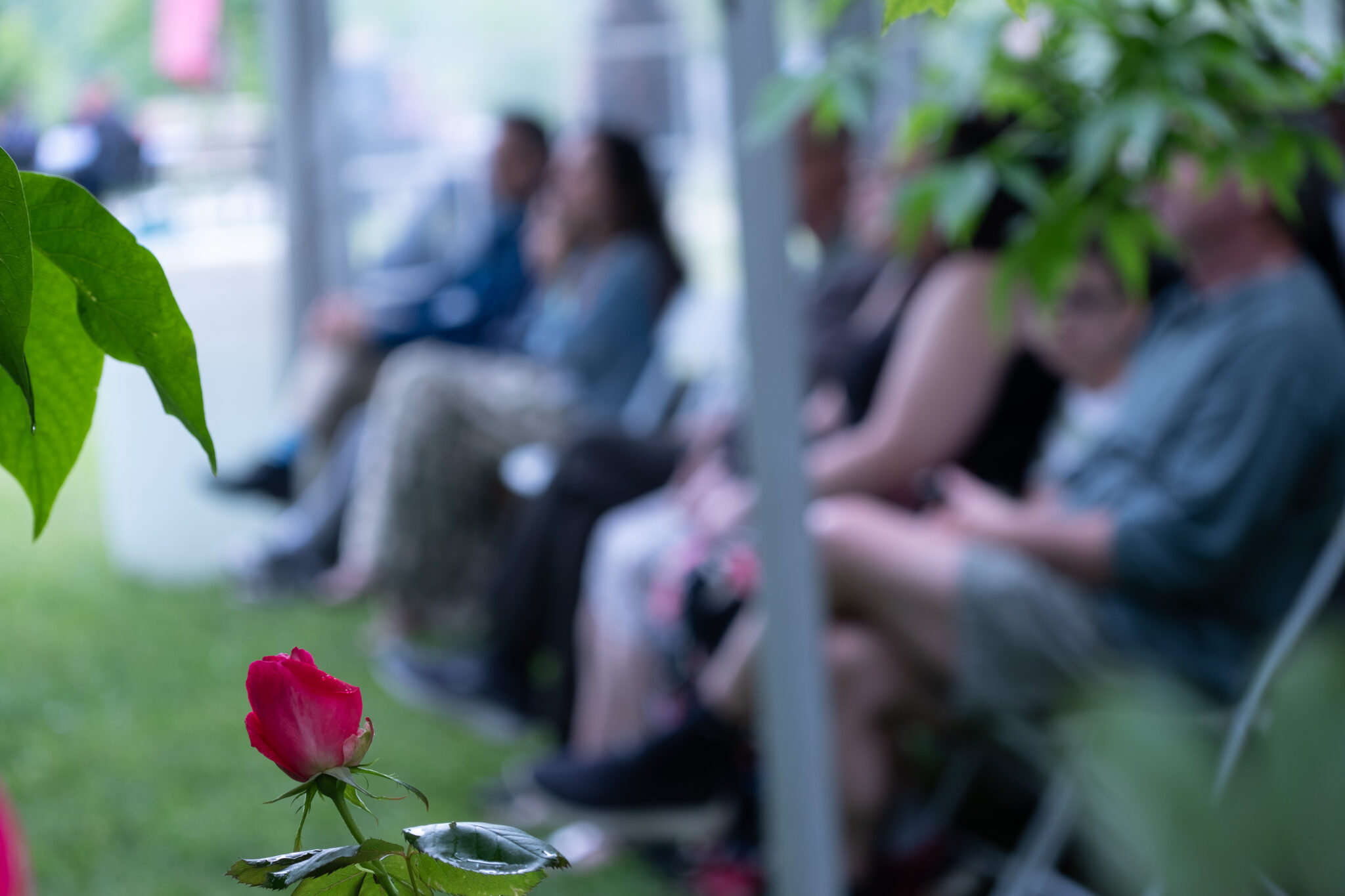 Emily’s House Garden Memorial Photo Album Philip Aziz Centre & Emily